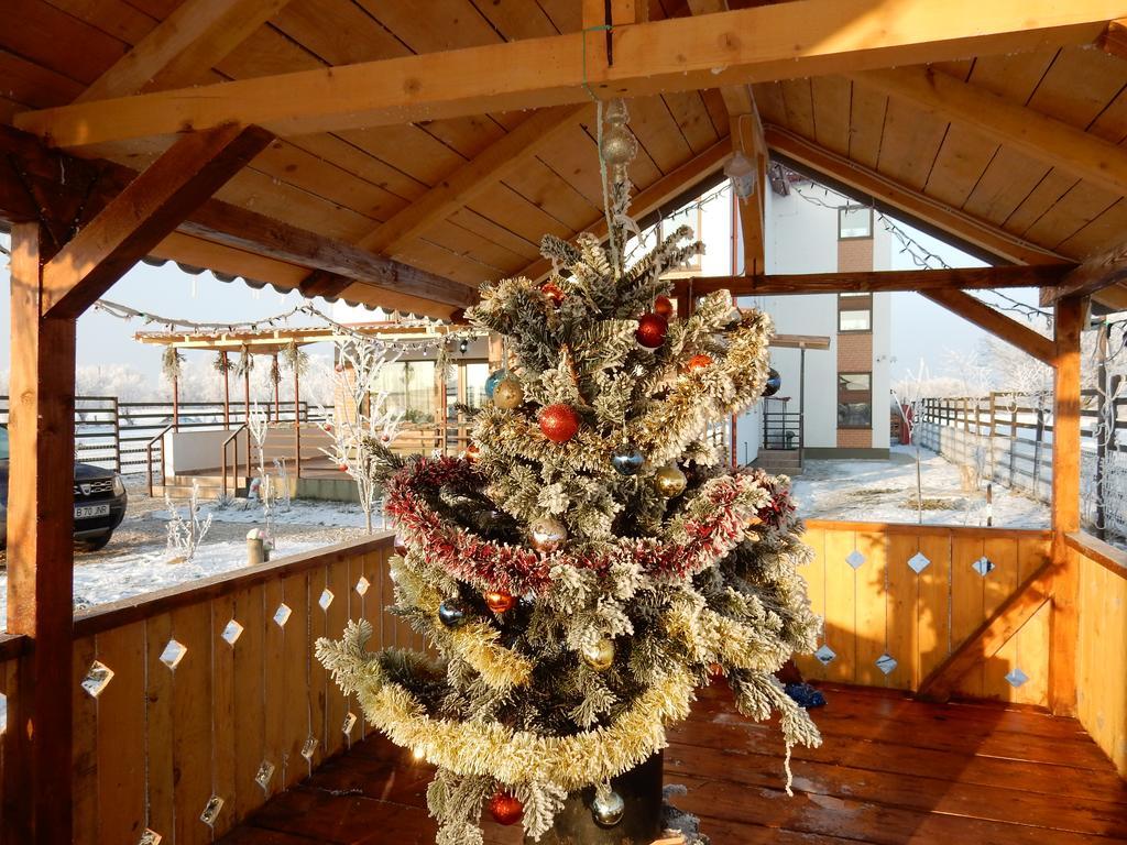 Pensiunea Cetatea Craiului Rîşnov Extérieur photo