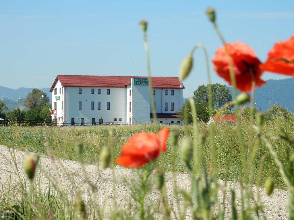 Pensiunea Cetatea Craiului Rîşnov Extérieur photo