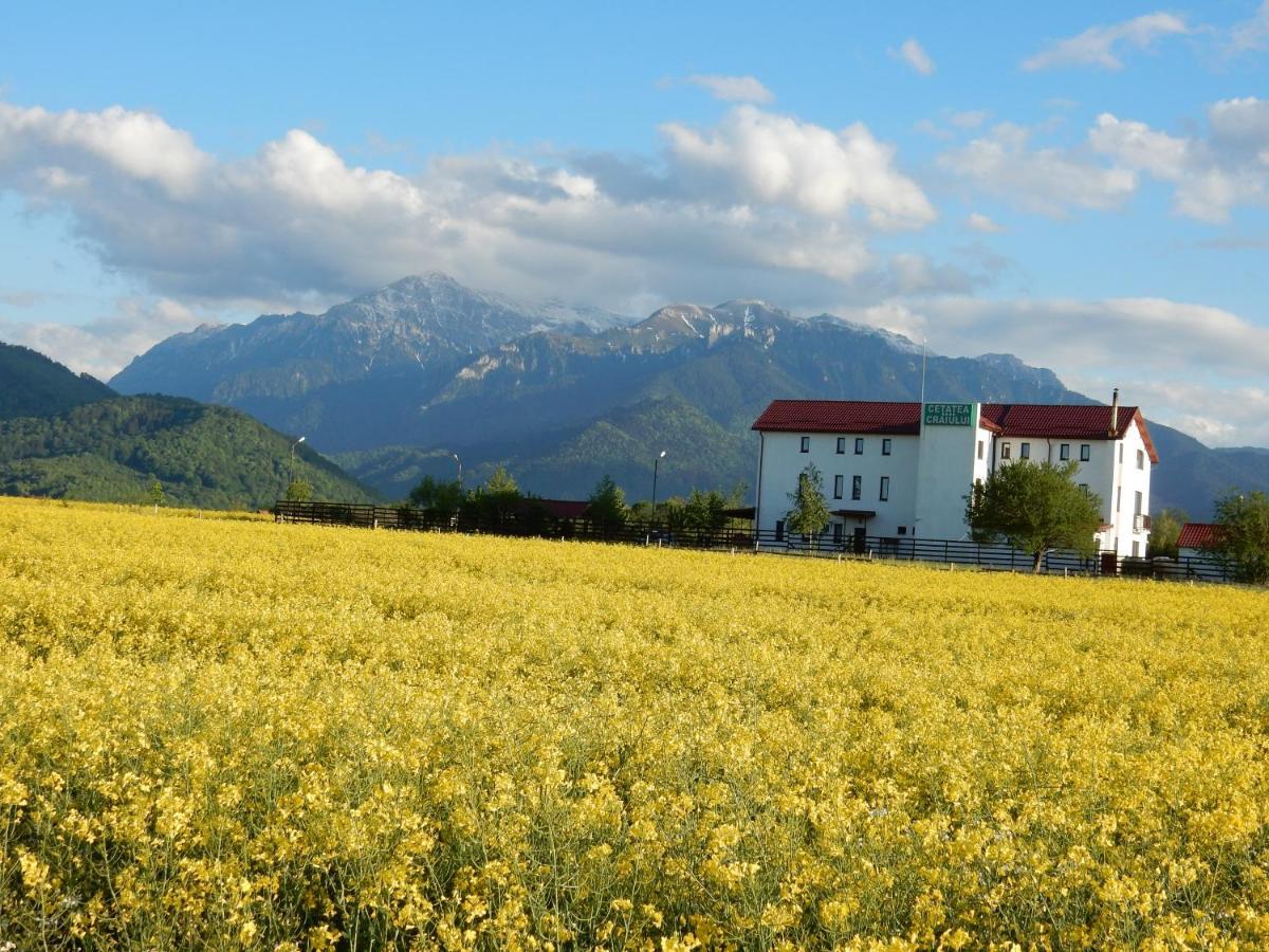 Pensiunea Cetatea Craiului Rîşnov Extérieur photo